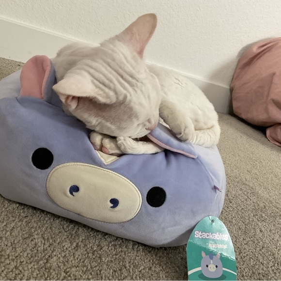 Meet your Posher, Eva - Picture 3 of 13